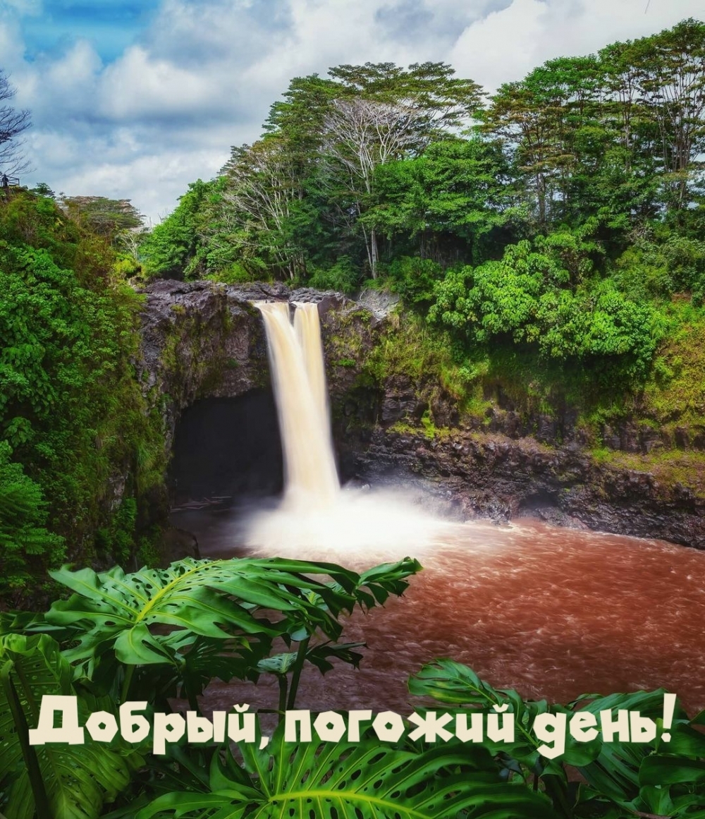 Добрый, погожий день!