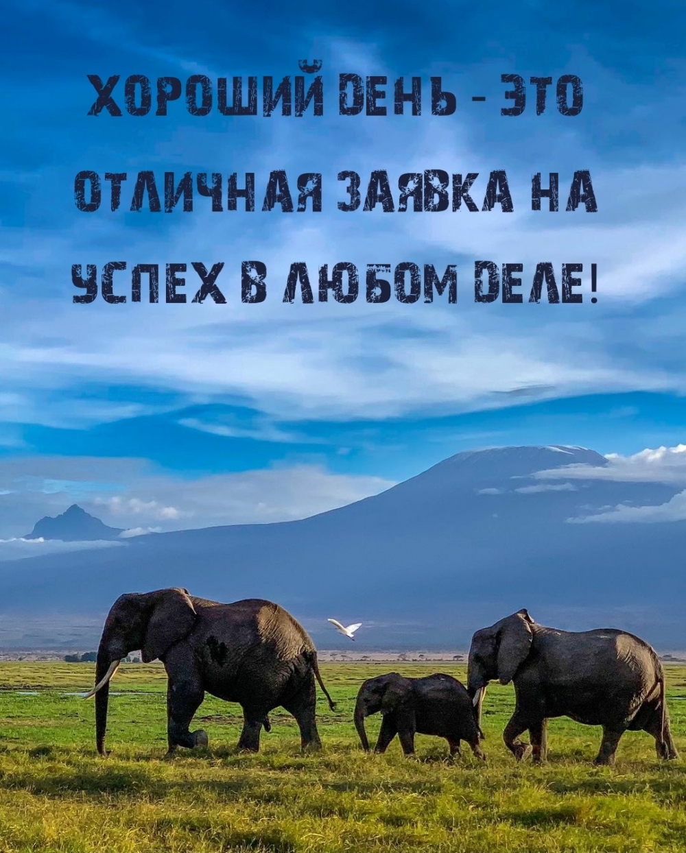 Хороший день — это отличная заявка на успех в любом деле!