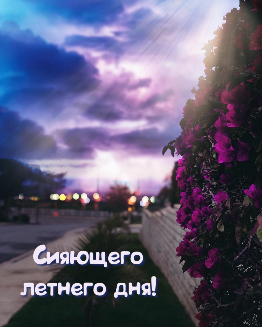 Сияющего летнего дня!
