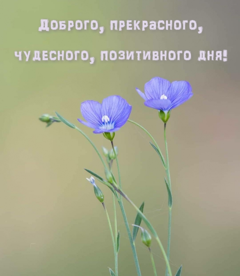 Доброго, прекрасного, чудесного, позитивного дня!