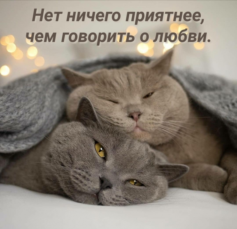 Нет ничего приятнее, чем говорить о любви.