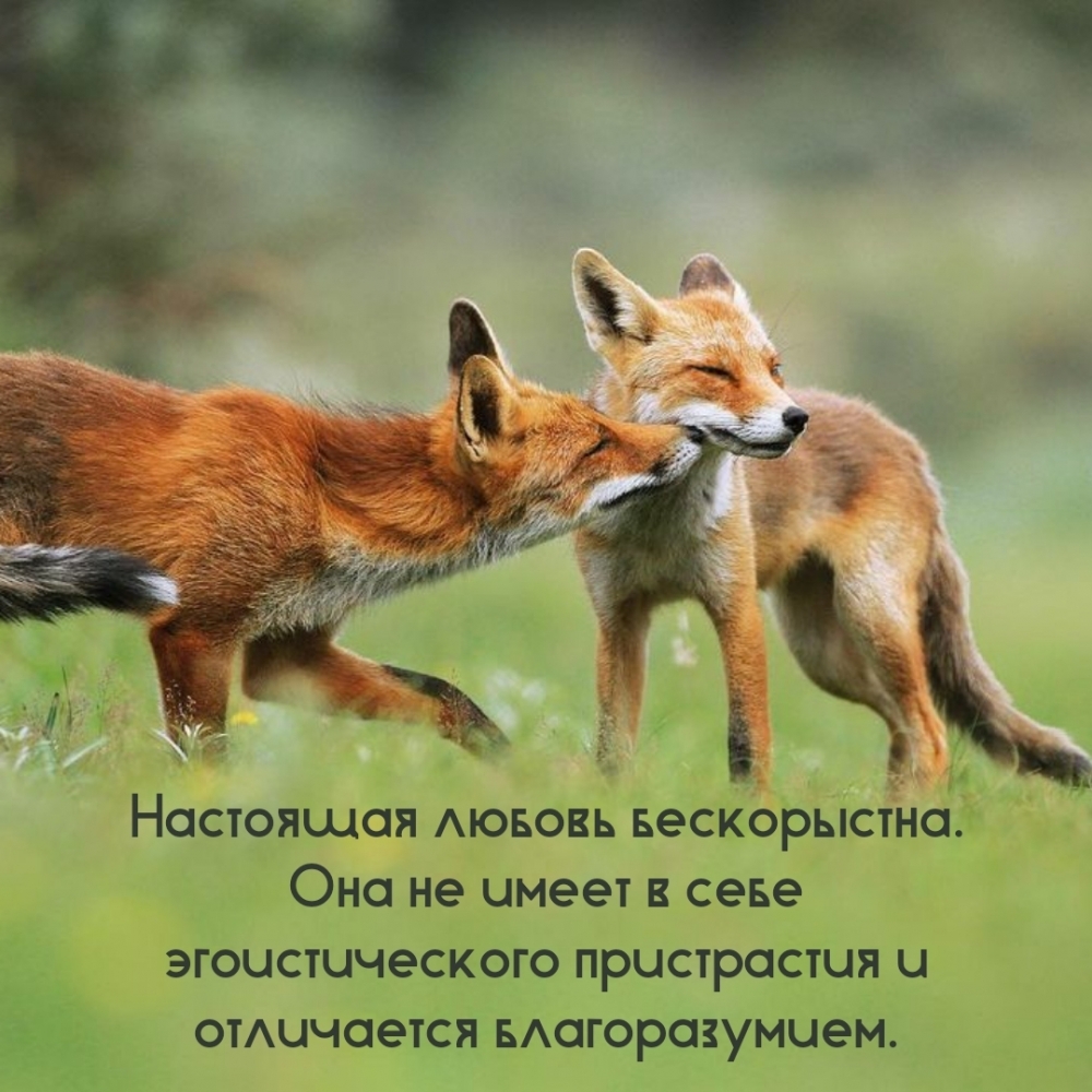 Настоящая любовь бескорыстна.