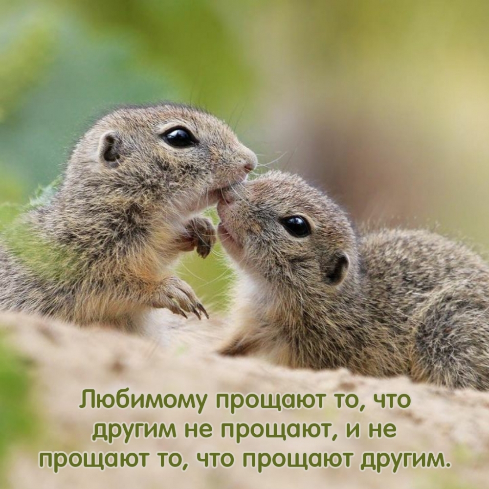 Любимому прощают то, что другим не прощают