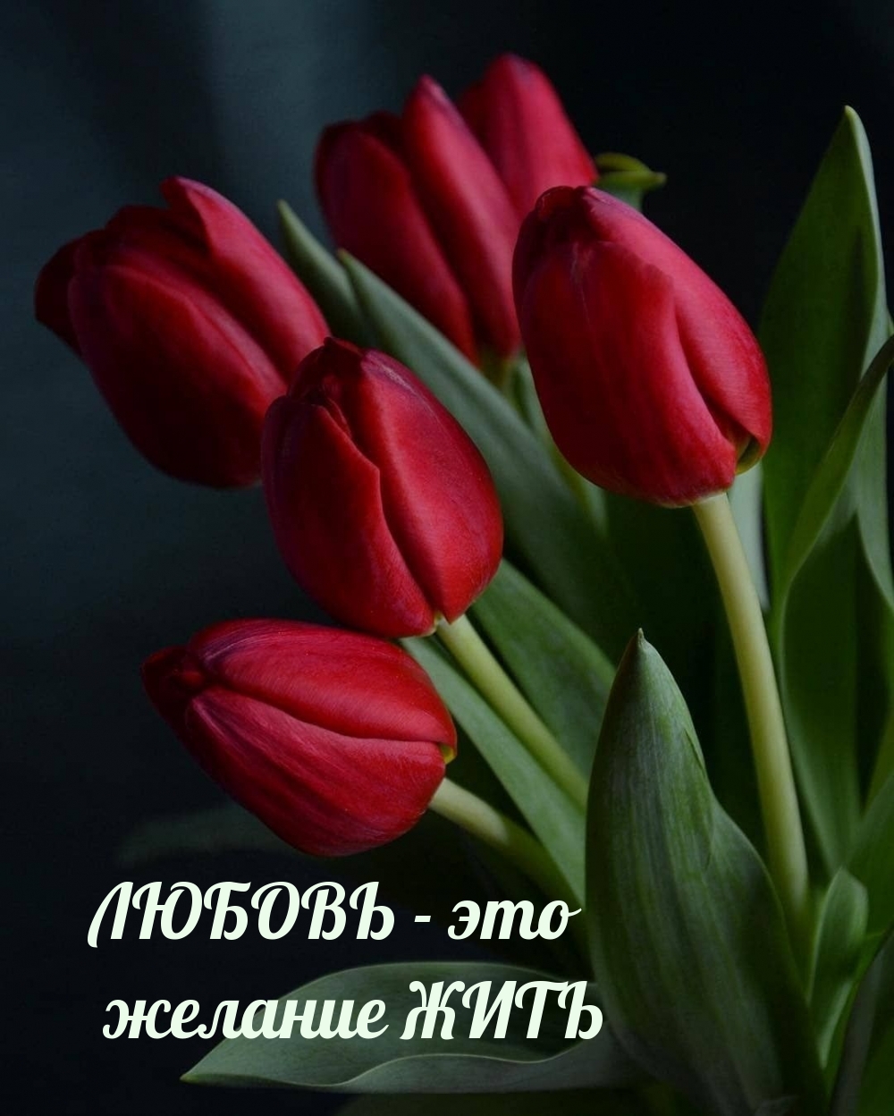 ЛЮБОВЬ — это желание ЖИТЬ