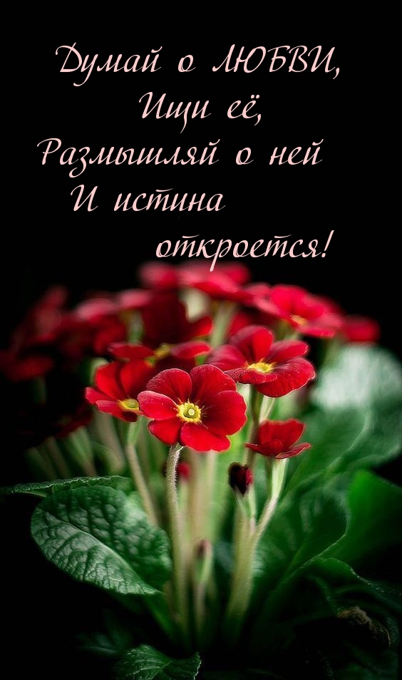 Думай о ЛЮБВИ, ищи её