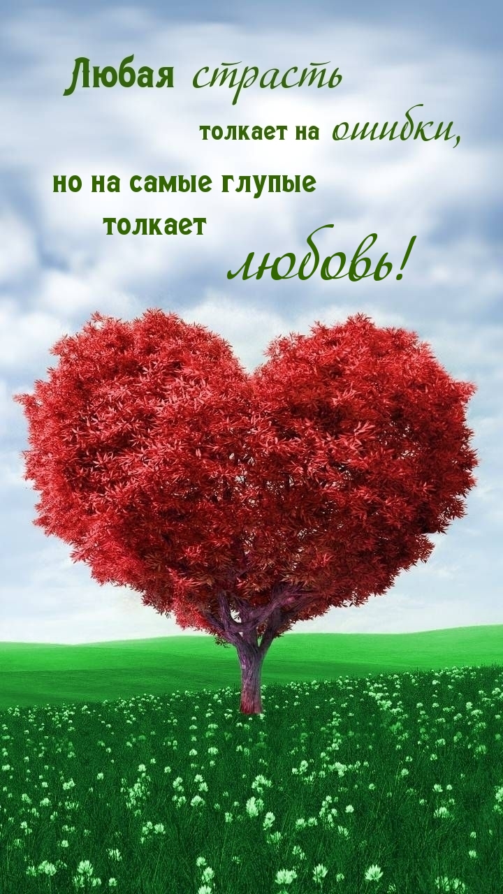 Любая страсть толкает на ошибки