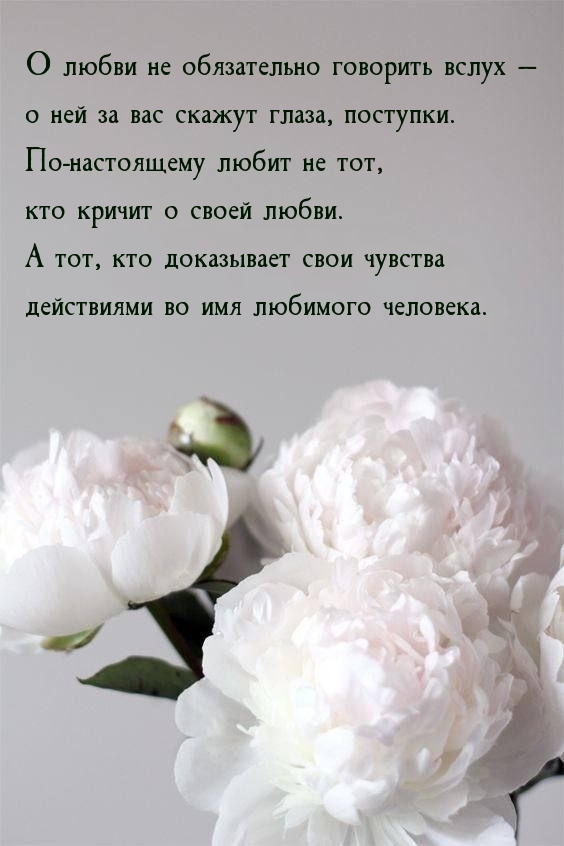 О любви не обязательно говорить вслух