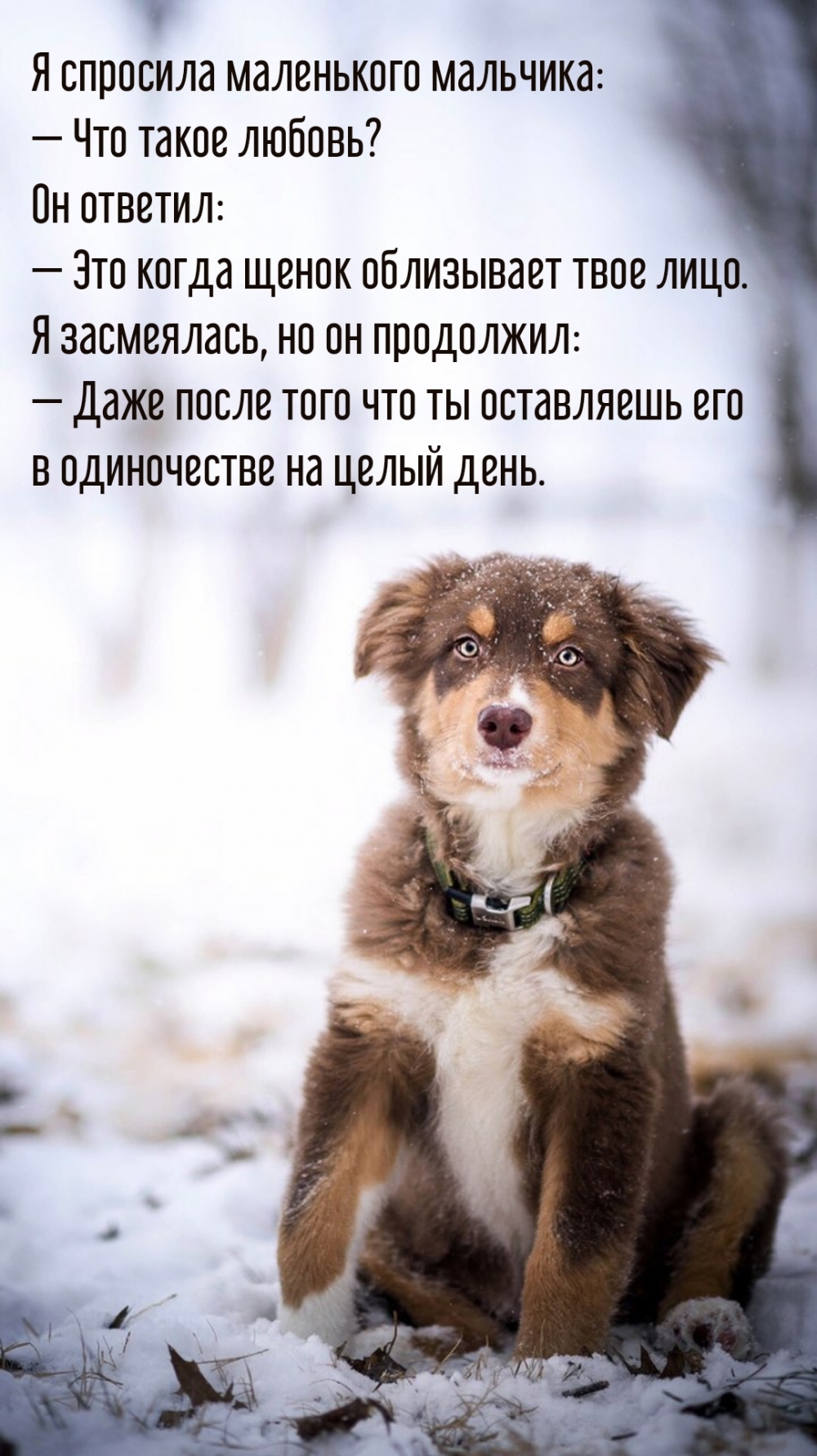 Я спросила маленького мальчика: — Что такое любовь?