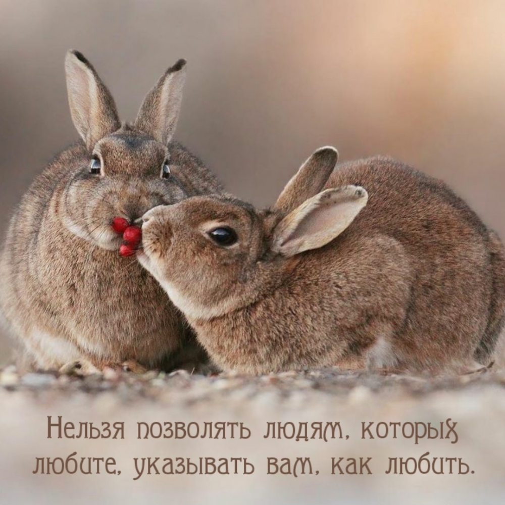 Нельзя позволять людям, которых любите, указывать вам, как любить.