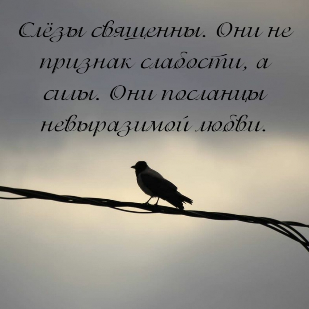 Слёзы священны. Они посланцы невыразимой любви.