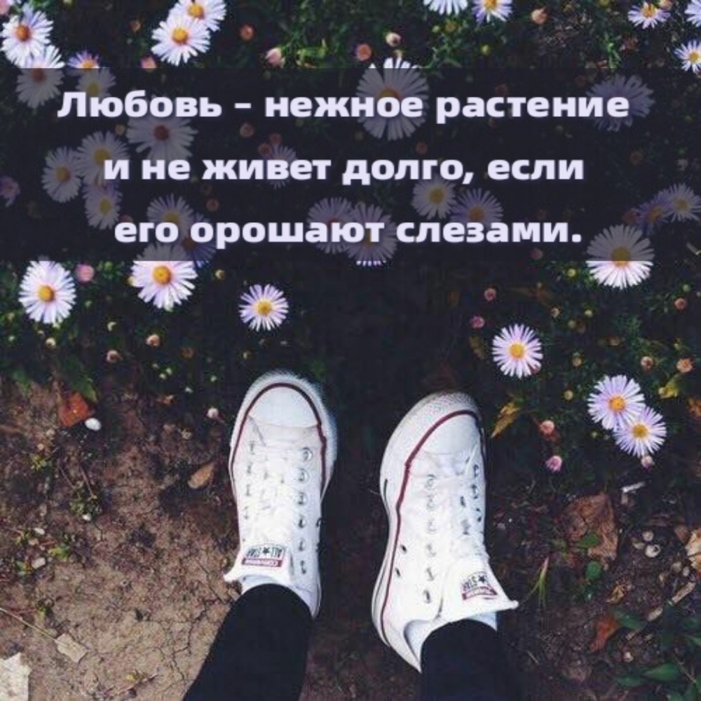 Любовь – нежное растение и не живет долго, если его орошают слезами.