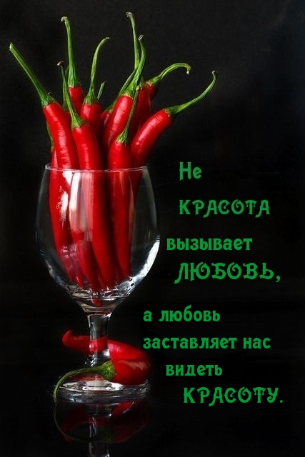 Не красота вызывает любовь, а любовь заставляет нас видеть красоту.