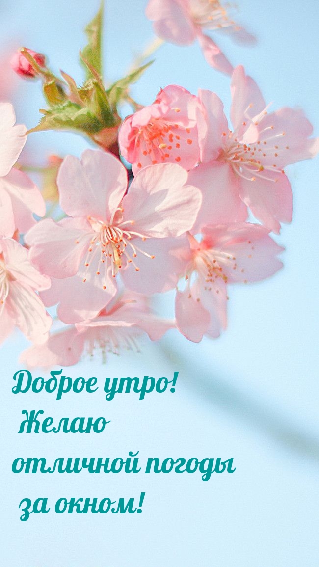 Доброе утро! Желаю отличной погоды за окном!
