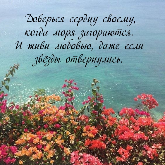Живи любовью, даже если звёзды отвернулись.