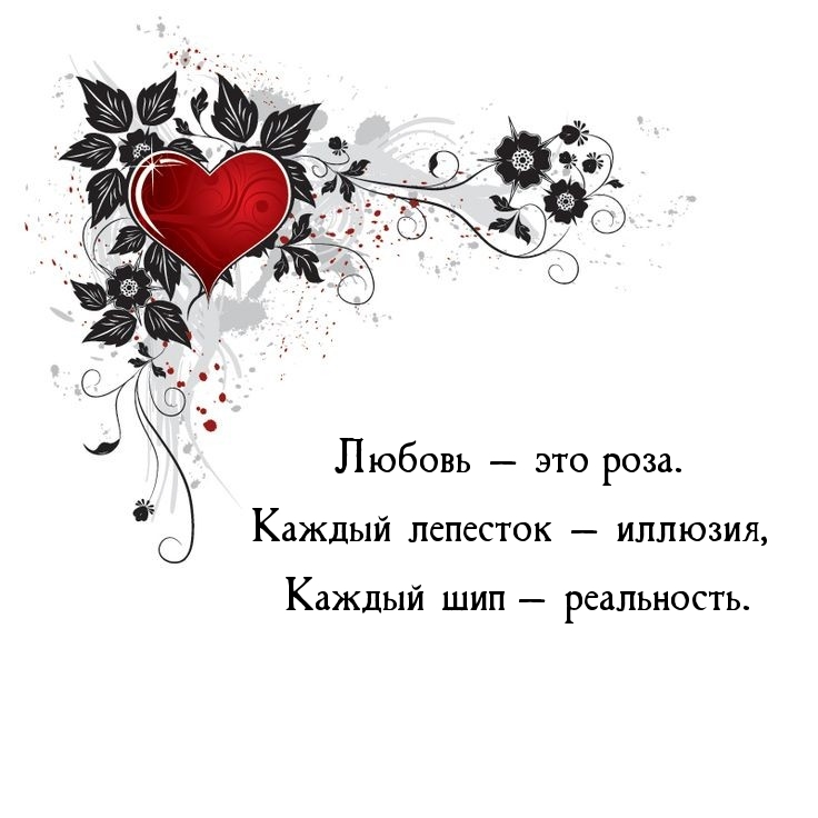 Любовь — это роза.