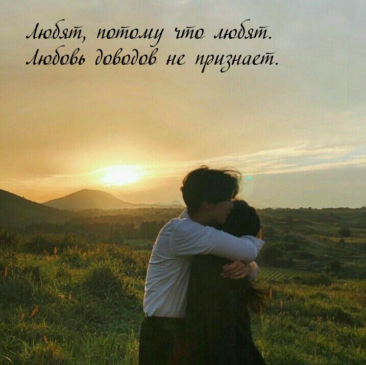 Любят, потому что любят. Любовь доводов не признает.