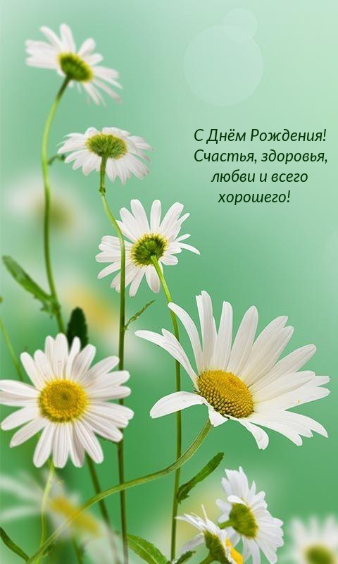 С днём рождения! Счастья, здоровья, любви и всего хорошего!