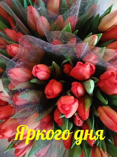 Яркого дня