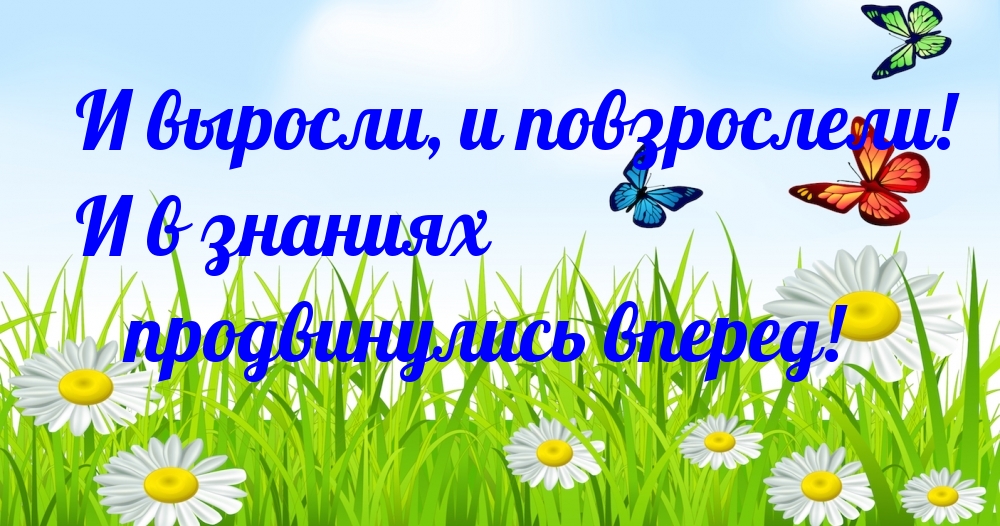 И выросли, и повзрослели! И в знаниях продвинулись вперед!