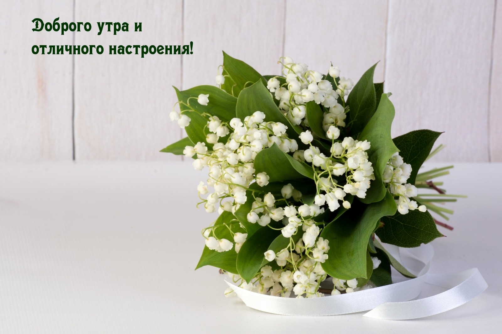 Доброго утра и отличного настроения!