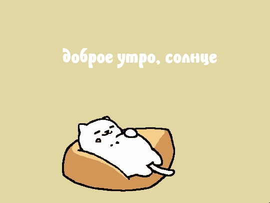 доброе утро, солнце