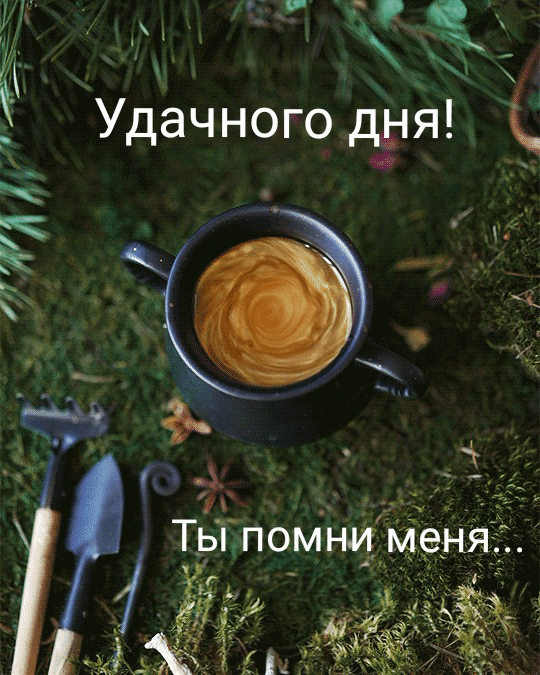 Удачного дня! Ты помню меня…