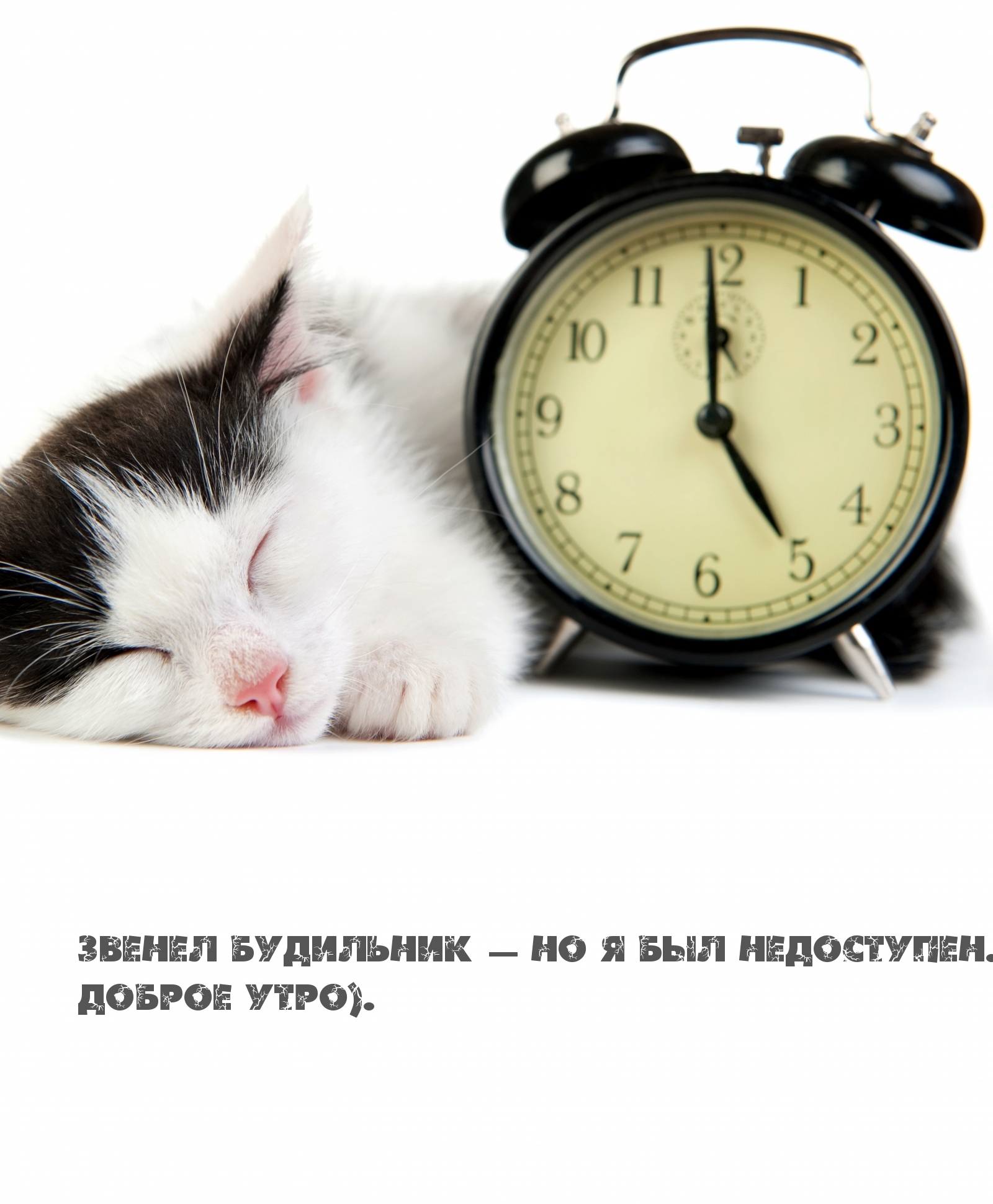 Звенел будильник — но я был недоступен.) Доброе утро).