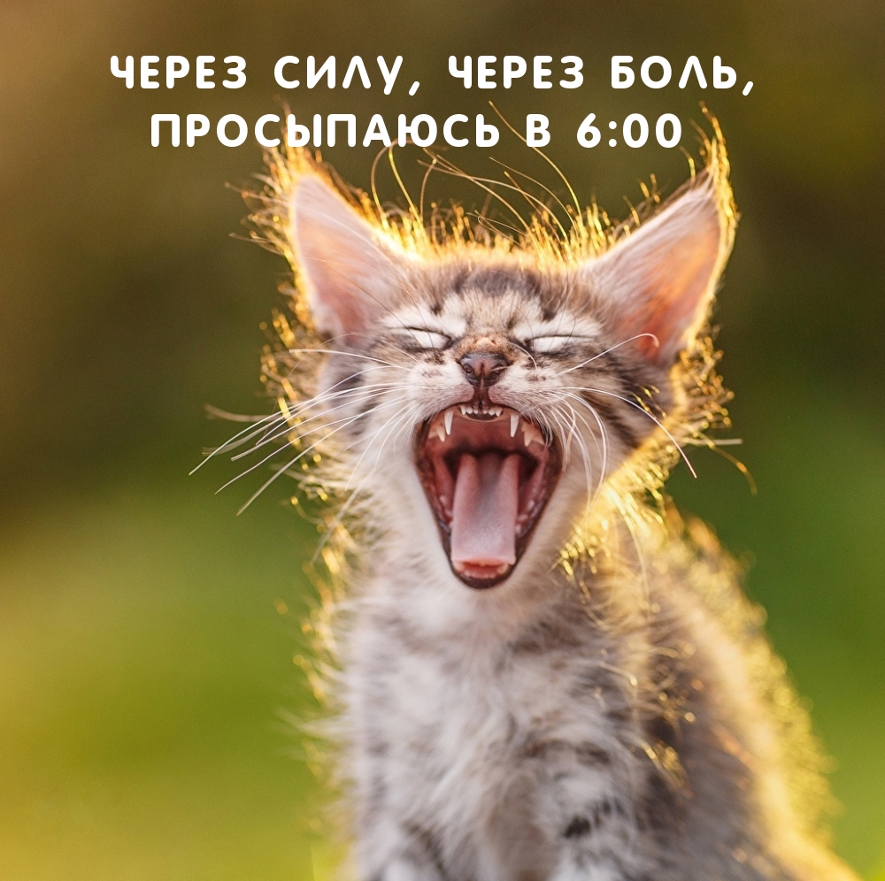 Через силу, через боль, просыпаюсь в 6:00
