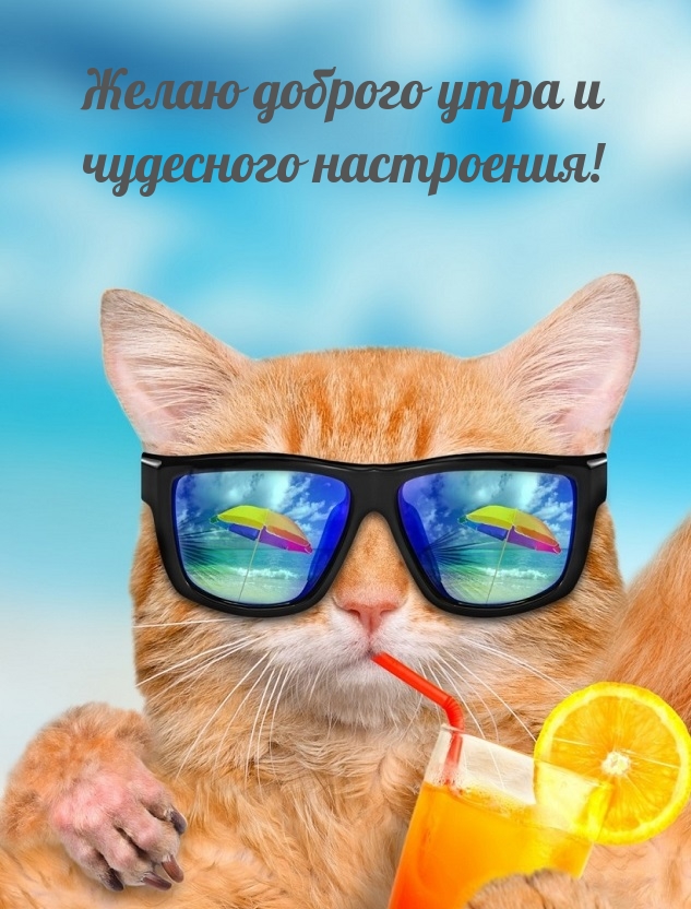 Желаю доброго утра и чудесного настроения!