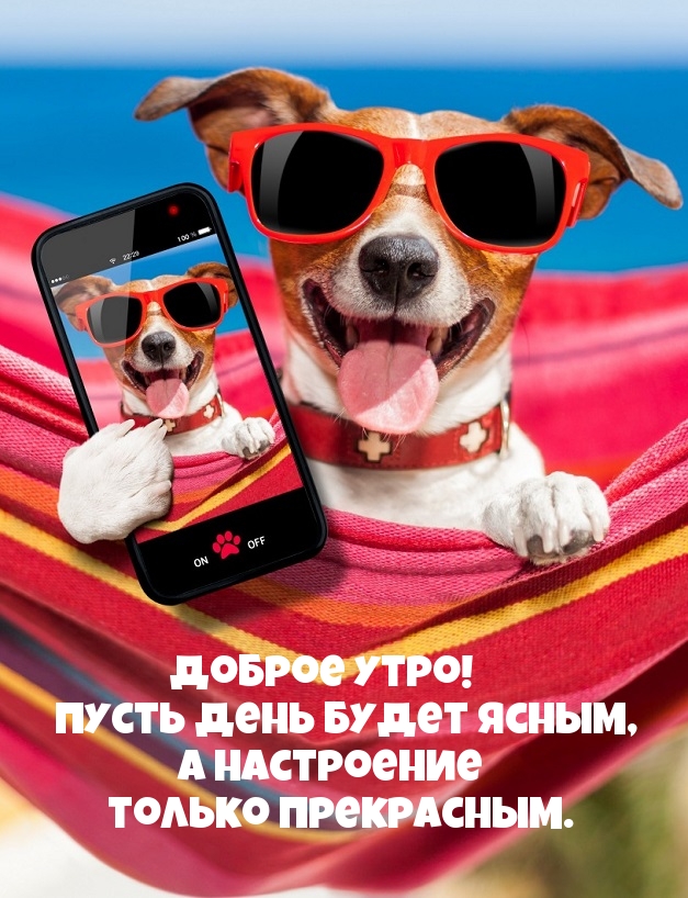 Доброе утро! Пусть день будет ясным а настроение только прекрасным.