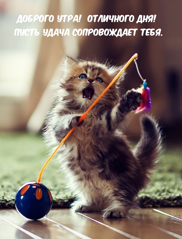 Доброго утра! Отличного дня! Пусть удача сопровождает тебя.