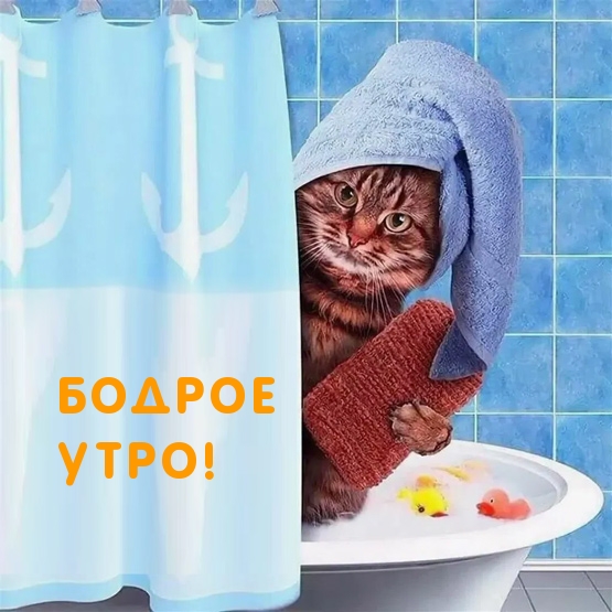 Бодрое утро!