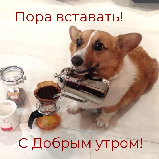 Пора вставать! С Добрым утром!