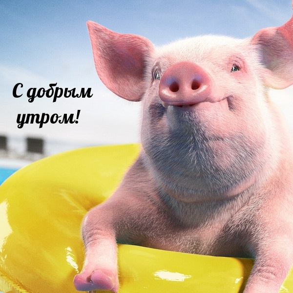 С добрым утром!