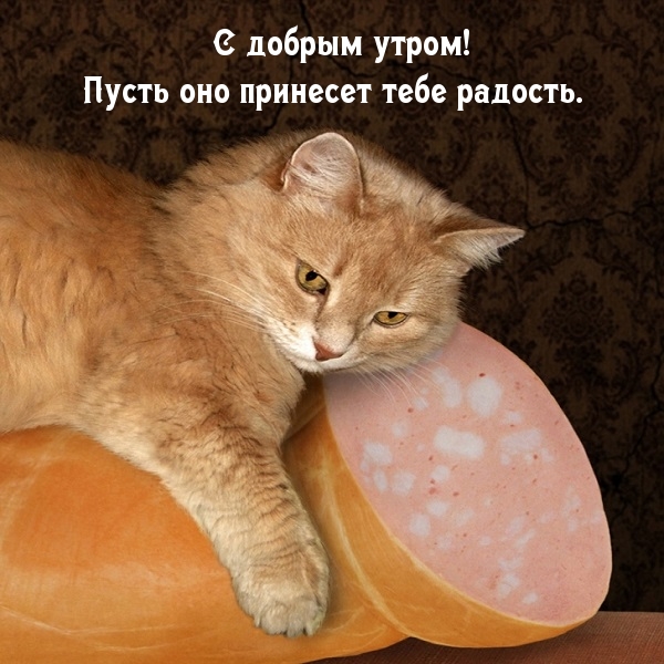 С добрым утром! Пусть оно принесет тебе радость.