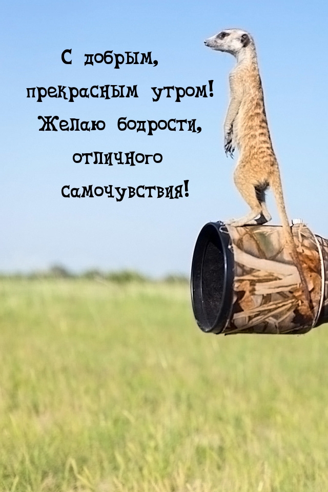 С добрым, прекрасным утром!