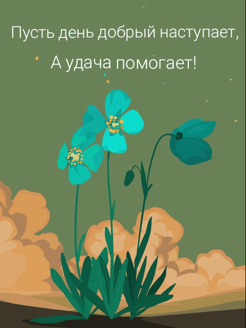 Пусть день добрый наступает, а удача помогает!