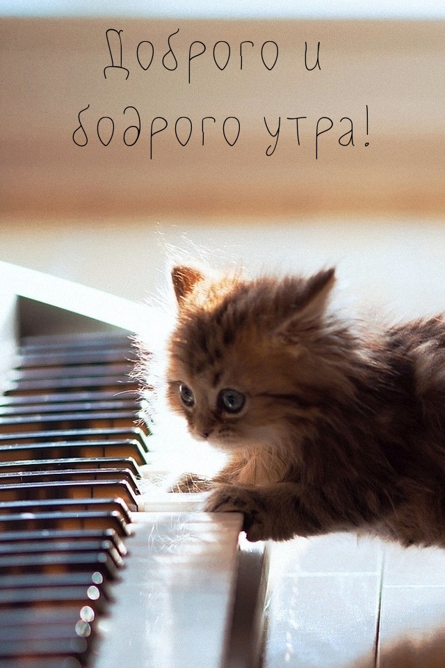 Картинки с надписями.  Доброго и бодрого утра!.