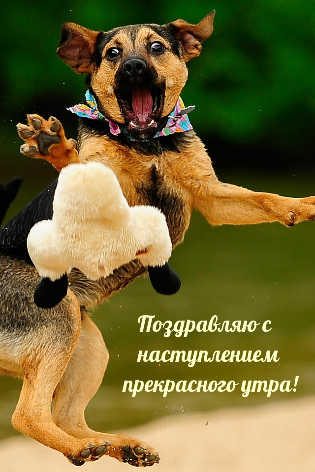 Поздравляю с наступлением прекрасного утра!