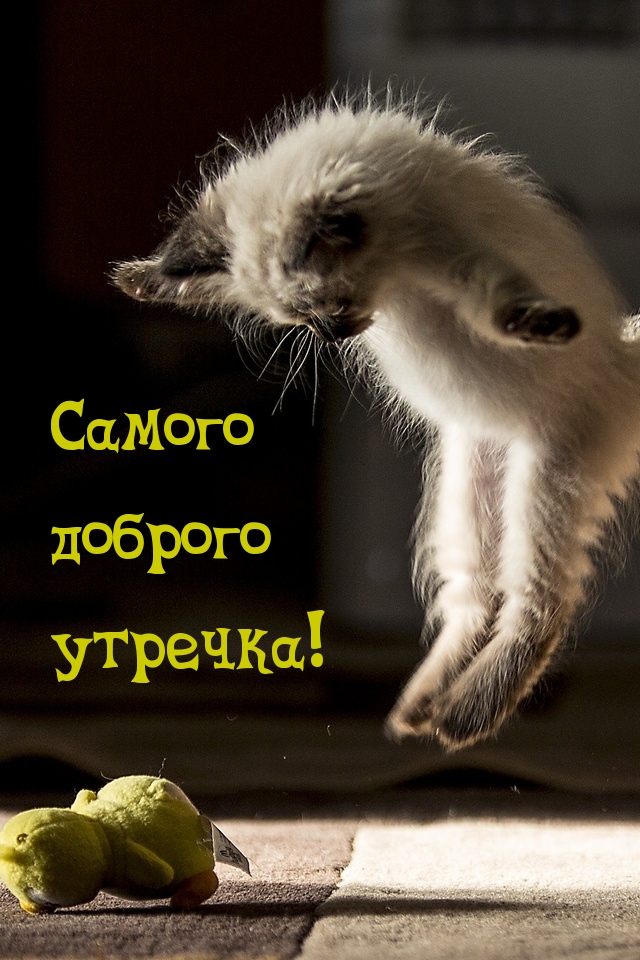 Самого доброго утречка!