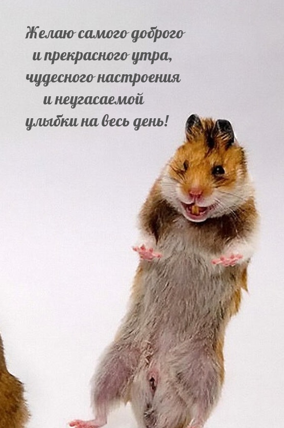 Желаю самого доброго и прекрасного утра