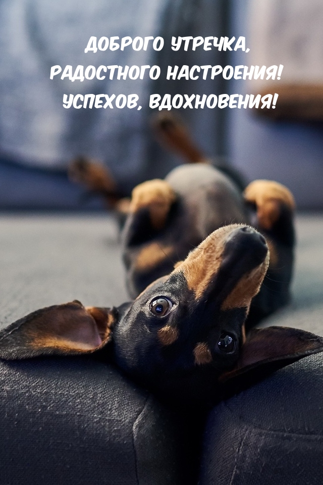 Доброго утречка, радостного настроения! Успехов, вдохновения!
