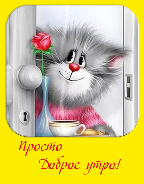 Просто доброе утро!
