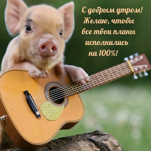 С добрым утром!