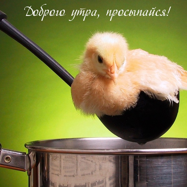 Доброго утра, просыпайся!