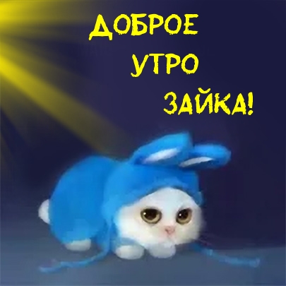 Доброе утро зайка!