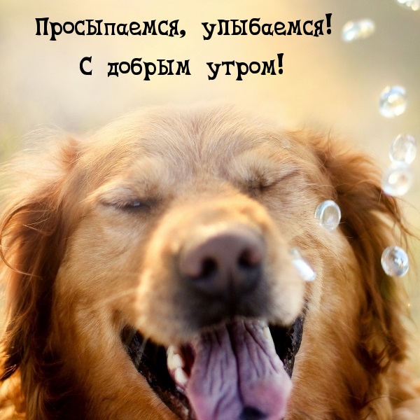 Просыпаемся, улыбаемся! С добрым утром!