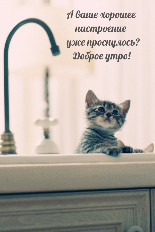 А ваше хорошее настроение уже проснулось? Доброе утро!