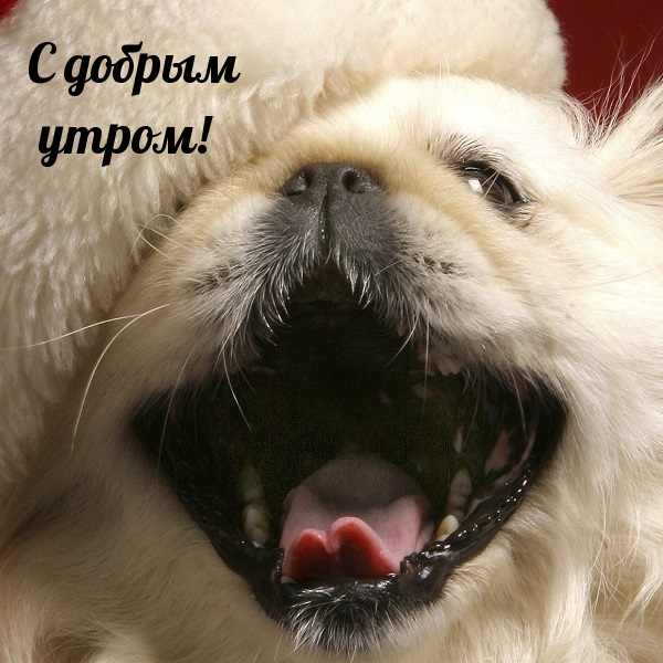 С добрым утром!