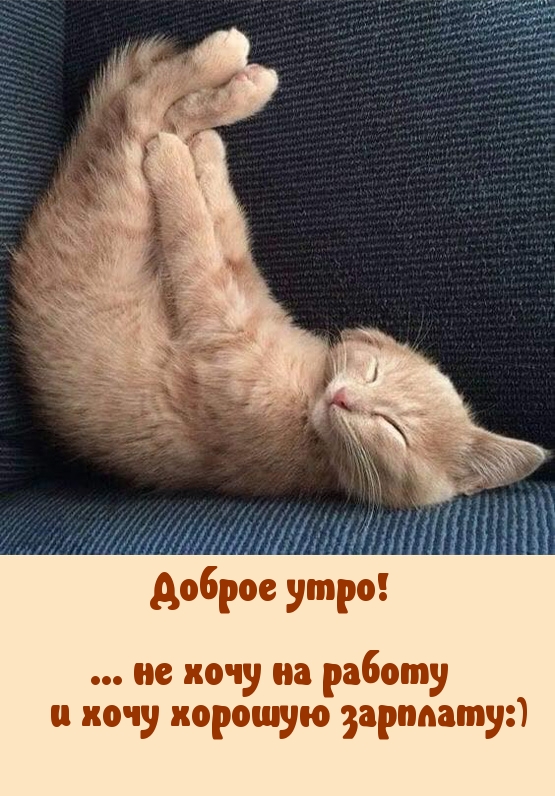 Доброе утро!